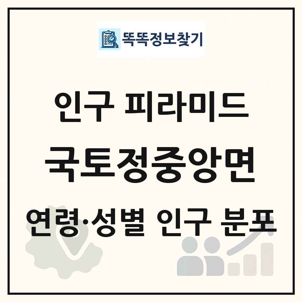 국토정중앙면 인구 피라미드 링크 그림
